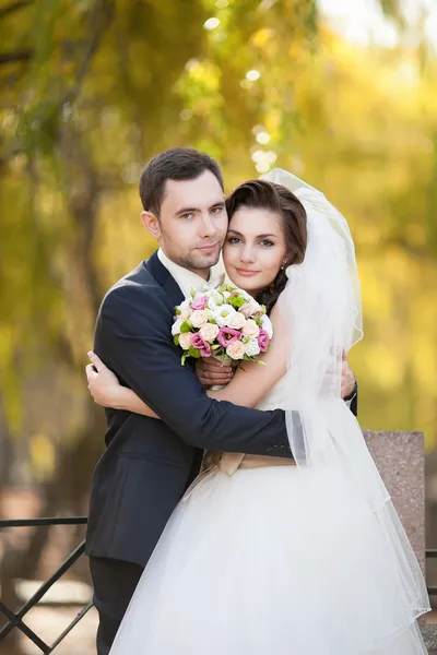 Coppia appena sposata nel parco autunnale — Foto Stock