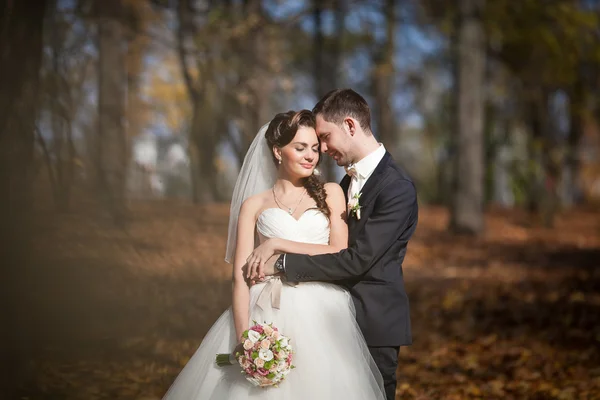 秋の公園で結婚されていたカップル — ストック写真