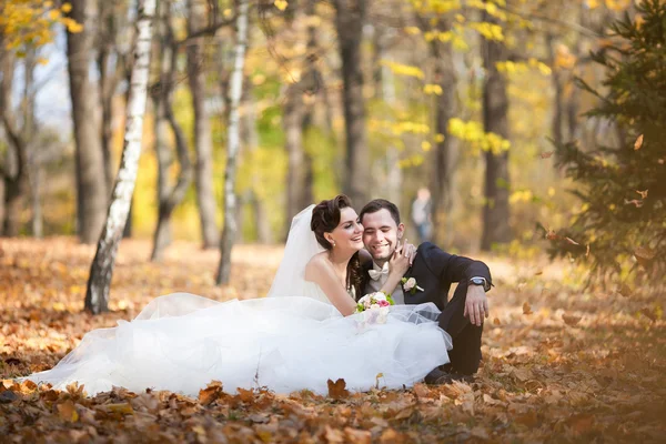 Schönes Hochzeitspaar sitzt im Herbstlaub — Stockfoto