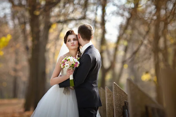 Casamento bonito no parque de outono — Fotografia de Stock