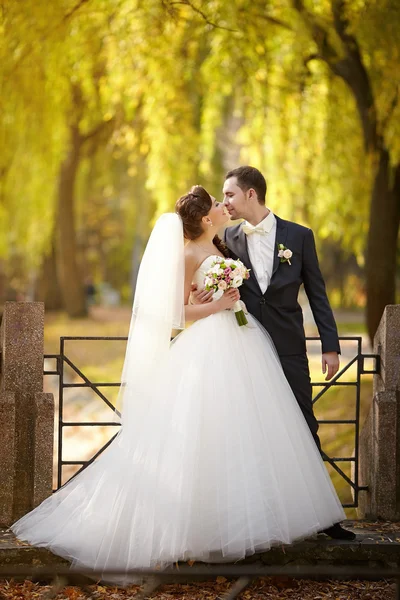 Young wedding couple — Stock Photo, Image