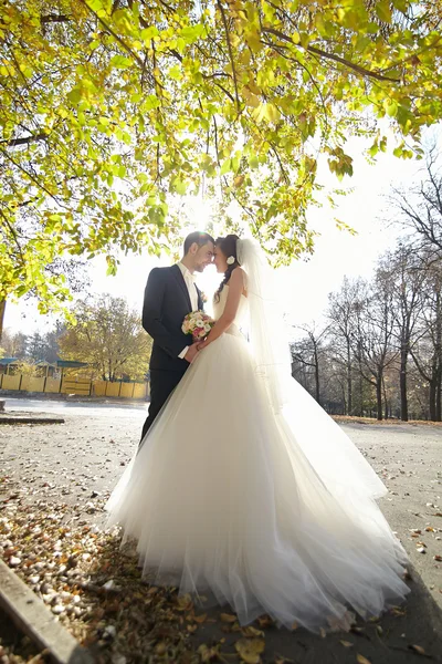 Married couple posing in autumn park — Stock Photo, Image