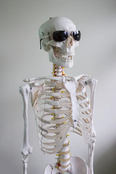 Skelett mit Sonnenbrille — Stockfoto