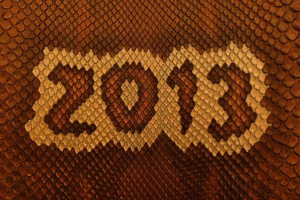 Snake skin 2013