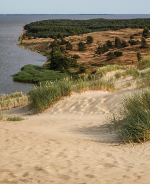 dune nagliu curonian spit, Litvanya görüntülemek