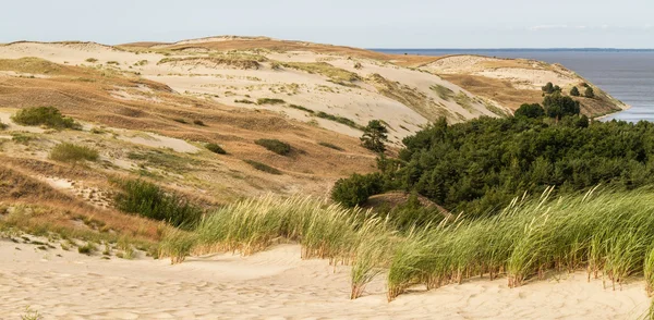 Vue depuis la dune Nagliu, flèche curonienne, Lituanie — Photo