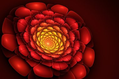 fraktal - kırmızı çiçek