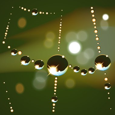 Web damla