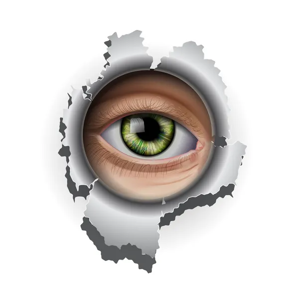 Auge in Auge — Stockvektor