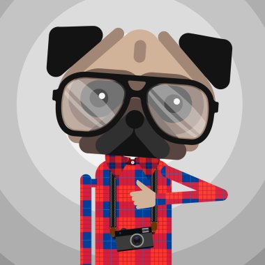 şirin moda hipster pug köpek pet