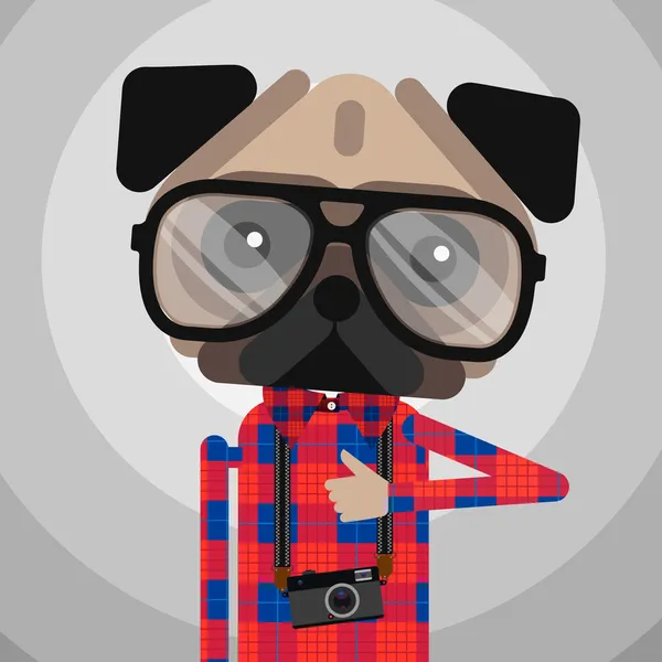 Cute fashion Hipster pug dog pet — Stock Vector