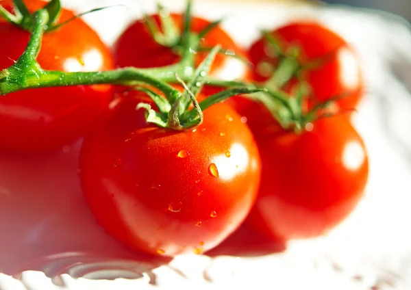 Pomodori ciliegia — Foto Stock