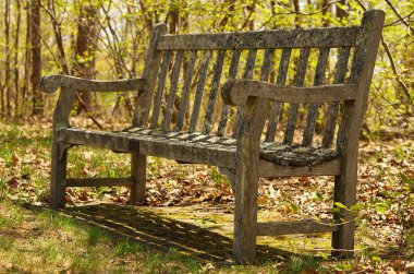 eski bir bahçe tezgah ihmal
