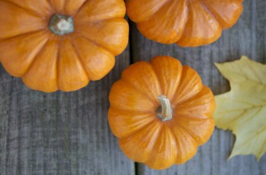 kabaklar sonbahar Bahçe