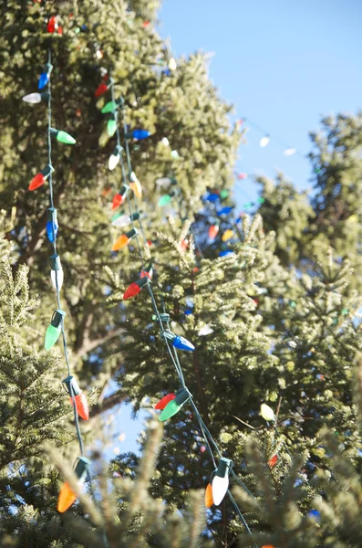 Karácsonyi fények a pine-Tree — Stock Fotó