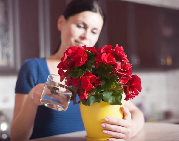 Kvinna arrangera blommor — Stockfoto