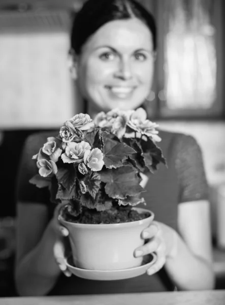 Woman arranging flowers — Stock Photo, Image