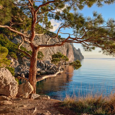 Deniz kenarındaki ormanlık kayalıklarla, yatay yaz. Karadeniz.