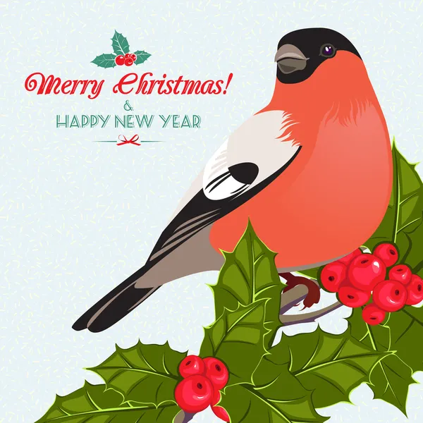 Christmas background and greeting card with bullfinch and holly — Stock Vector