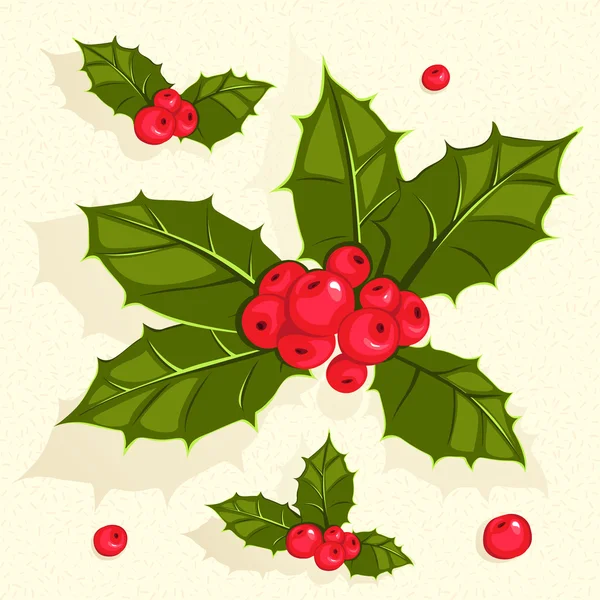 Christmas holly berries — Stock Vector