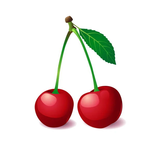 Dos cerezas con hoja — Vector de stock