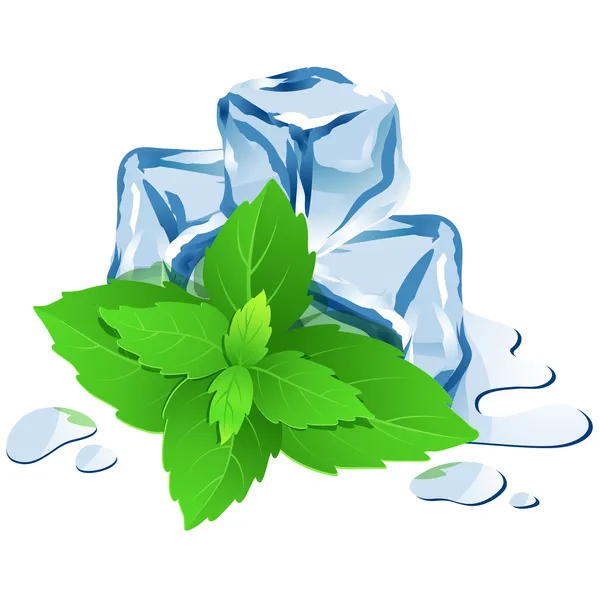 Cubos de hielo con menta aislada en blanco — Vector de stock