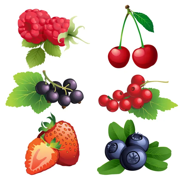 Fraise mûre, framboise, cerise, mûre, cu noir et rouge — Image vectorielle