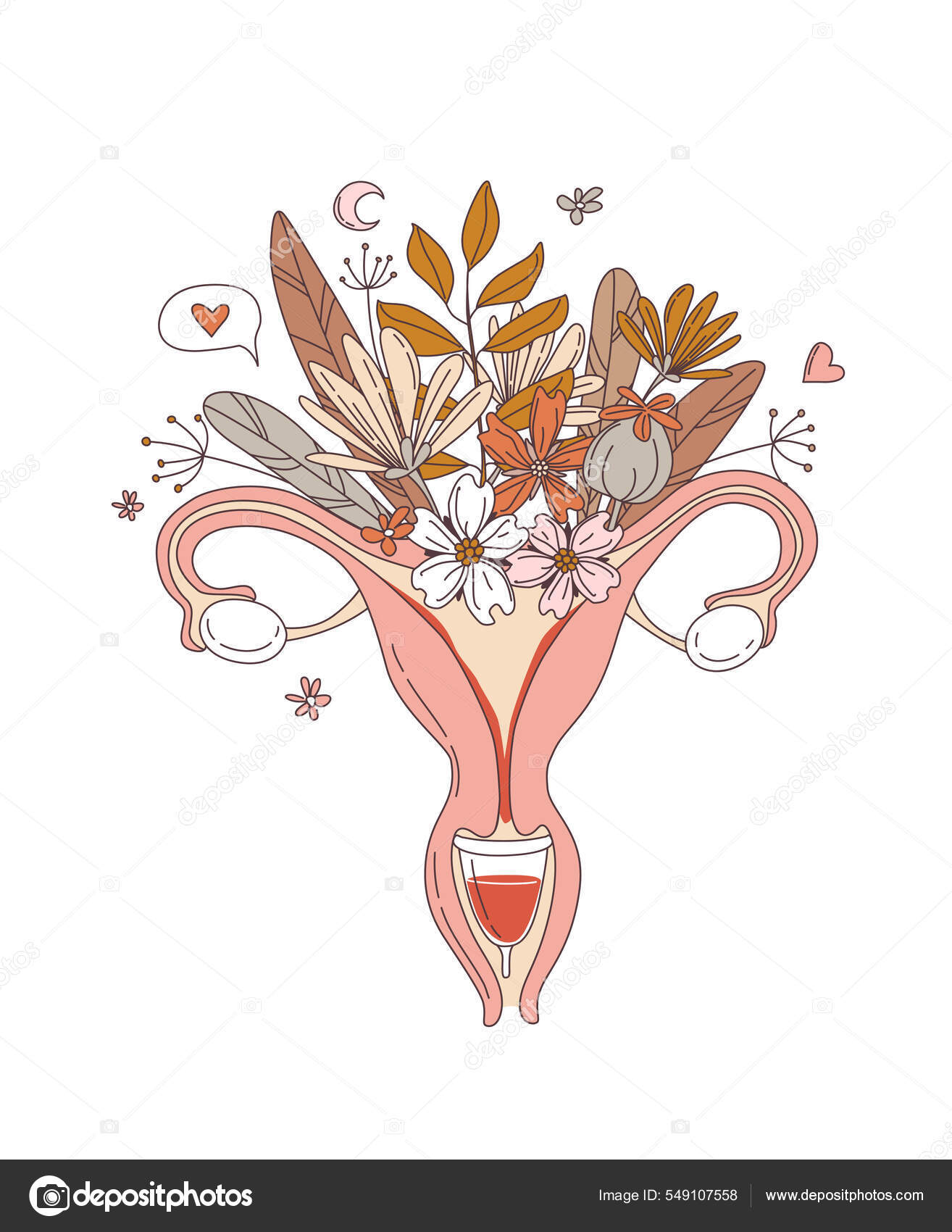 Female Anatomy | Structure and Functions | Studyclix