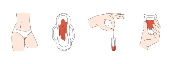 Damenhygieneartikel Für Menstruationsunterhosen Einlagen Tampons Menstruationstasse Mit Blut Vektor Illustration lizenzfreie Stockvektoren