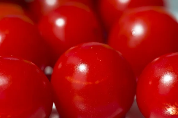 Grappe de tomates cerises rouges — Photo