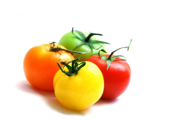 Cluster of red yellow orange and green tomatoes — Stock Photo, Image