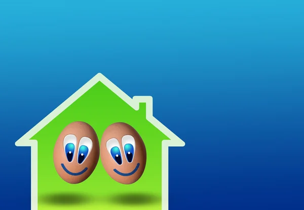 Cute couple of eggs in low-power house — Stock Photo, Image