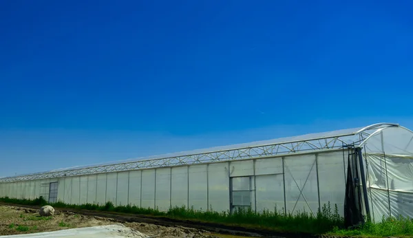 Greenhouse for growing fruit and vegetables — Stock Photo, Image