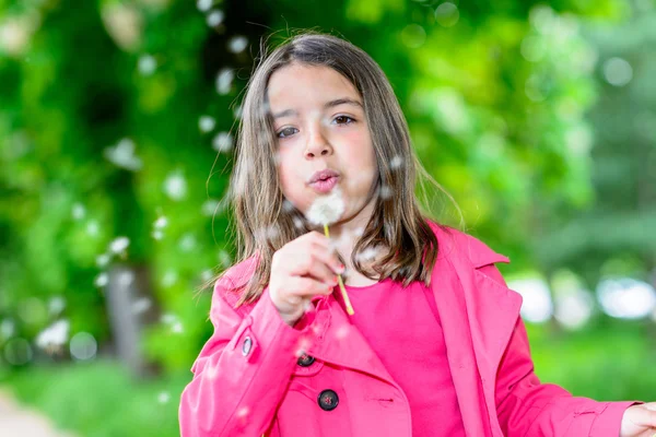 Close-up of cute child blowing on a flower standing in a park — Stock Photo, Image