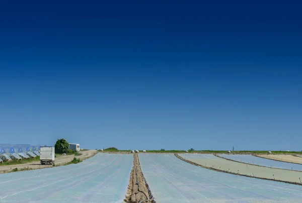 Outside view of greenhouse and cover fields — Stock Photo, Image