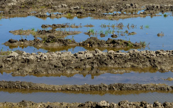 Vista sobre un campo de inundación — Foto de Stock