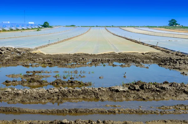 Visa på en översvämning fältet med lock — Stockfoto