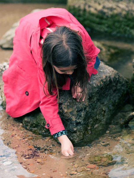 Bonita niña jugando en una roca en el borde del agua —  Fotos de Stock