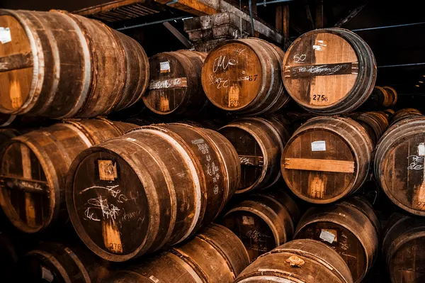 Cognac barrels more than 100 years old — Stock Photo, Image