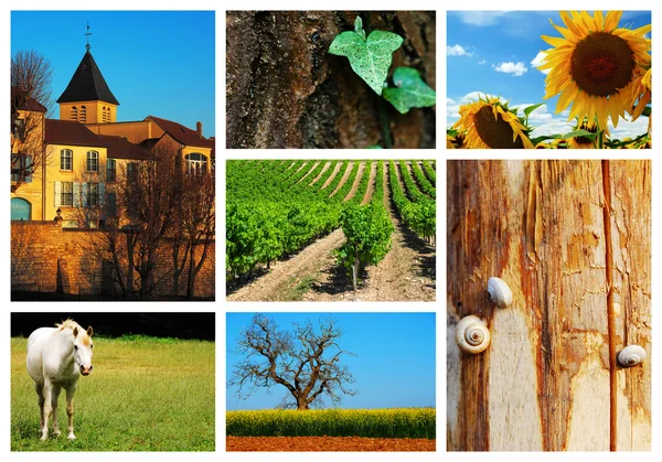 Collage of french countryside landscape — Stock Photo, Image