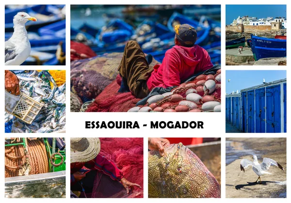 Collage on fishing activity in Essaouira, Morocco — Stock Photo, Image