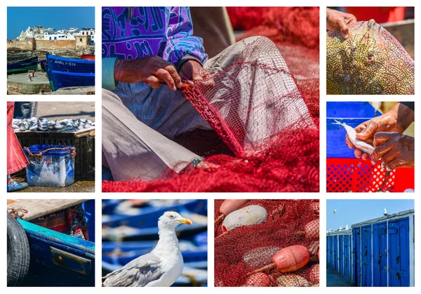 Collage sobre la actividad pesquera en Essaouira, Marruecos —  Fotos de Stock