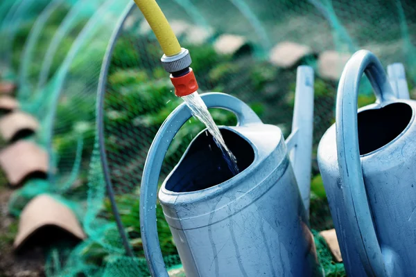 Giardinaggio, riempire annaffiatoio d'acqua per irrigare le piante in — Foto Stock