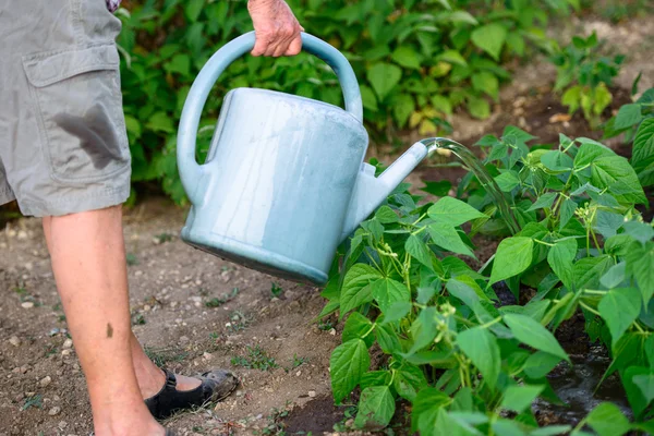 Retired person watering her plants in a garden — Stock Photo, Image