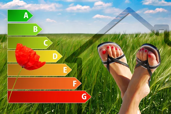 Pictogram van huis energieproductiviteitsscijfer met mooie voeten, papaver en groene achtergrond — Stockfoto