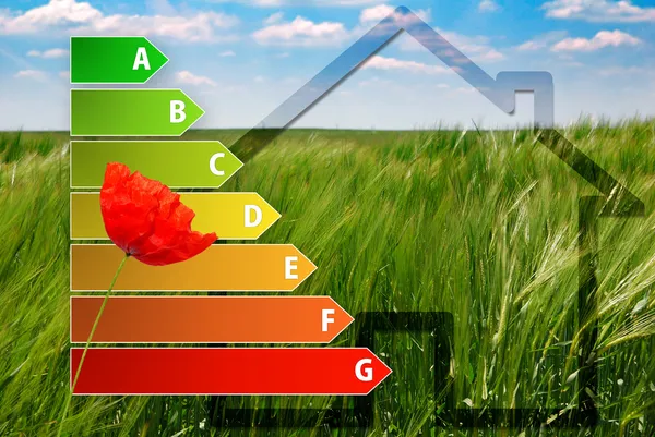 Icon of house energy efficiency rating with poppy, house and green background — Stock Photo, Image