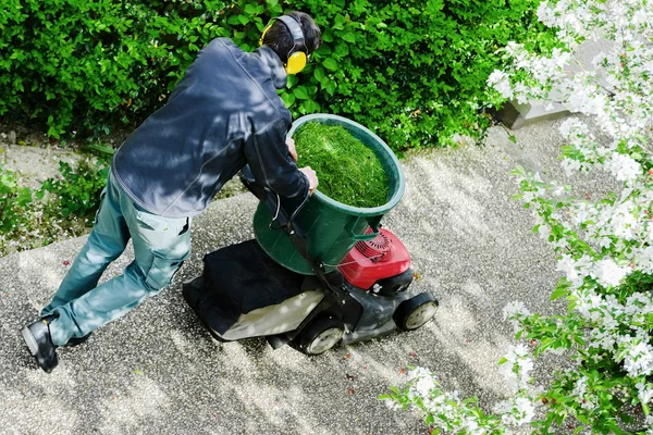 Gardener mowing the lawn in a park — Stock Photo, Image