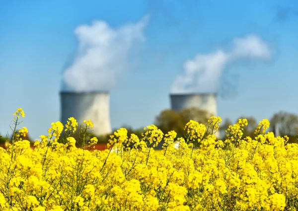 Nuclear power plant and colza fields — Stock Photo, Image