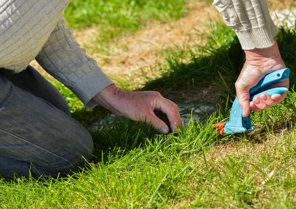Starszy cięcie trawy z nożyce — Zdjęcie stockowe