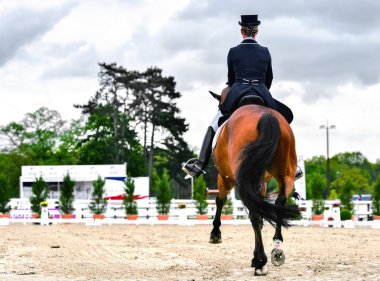 terbiye at ve kadın binici